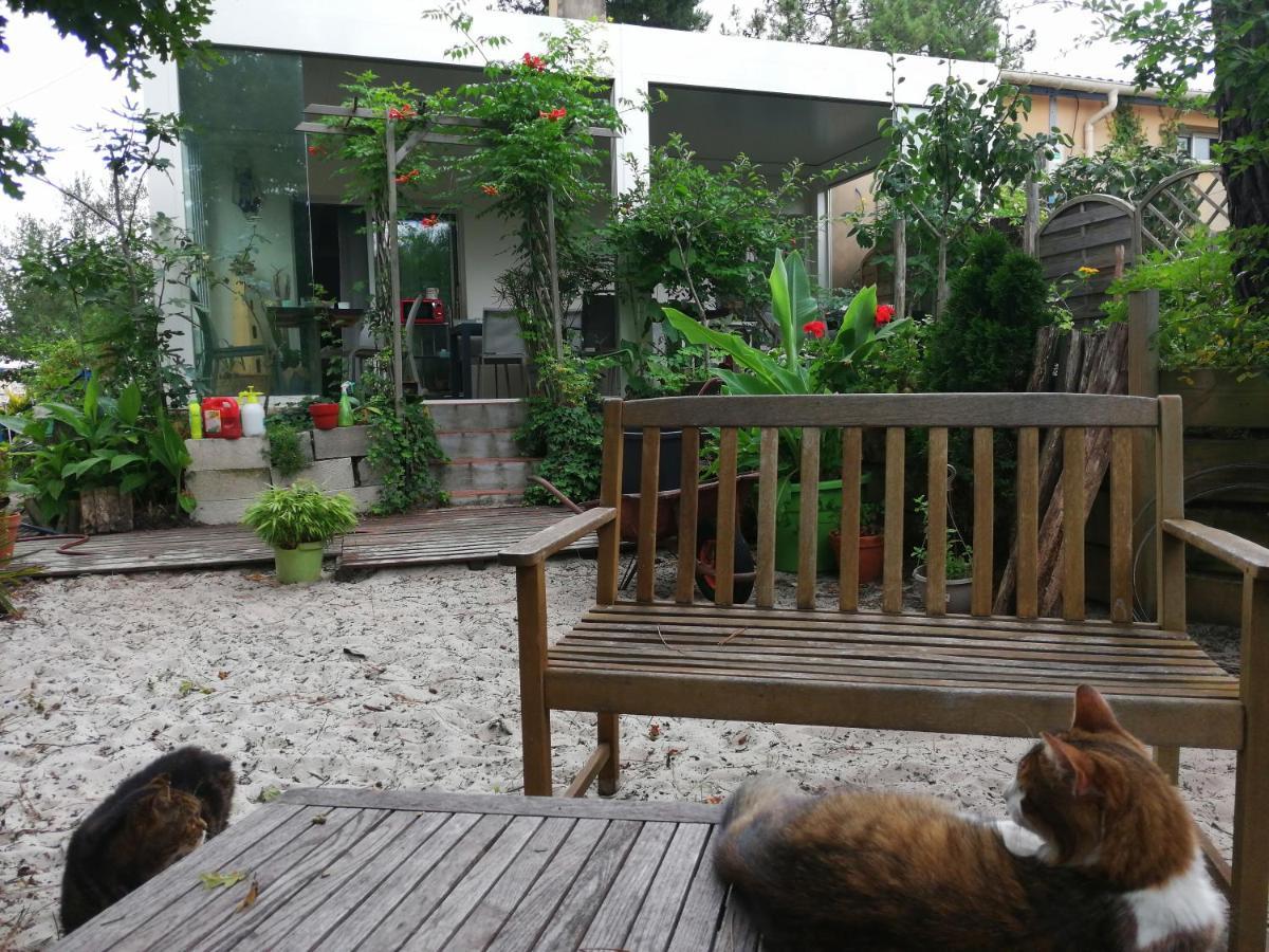 Le Relais De La Praya Bed & Breakfast Lege-Cap-Ferret Exterior photo